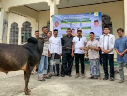 Golkar Aceh Sumbang 5 Ekor Sapi Kurban, TM Nurlif: Wujud Keikhlasan dan Semangat Berbagi