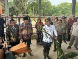 Gubernur Rudy Mas’ud Berkomitmen Genjot Kemandirian Pangan Kaltim