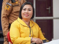 Agustina Mangande Minta Pemerintah Mediasi Sengketa 4 Pulau Aceh-Sumut, Jangan Dianggap Sepele