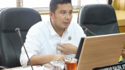 Wakil Ketua DPRD Jateng Soal MOU Ekspor Listrik dari EBT: Langkah Cerdas dan Brilian!