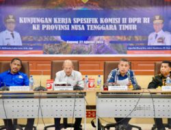 Andar Amin Harahap: BUMD Harus Jadi Motor PAD dan Ekonomi Lokal