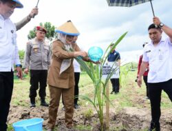 Wagub Gorontalo Idah Syahidah Dorong Reboisasi & Ketahanan Pangan Lewat Penanaman Kelapa