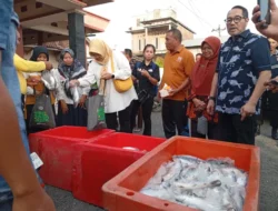 Safari Gemarikan Firman Soebagyo Perkuat Ketahanan Gizi dan Tekan Stunting di Pati