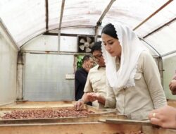 Ekspor Kakao Melonjak, Wamendag Dyah Roro Ajak UMKM Bali Manfaatkan Inaexport & Pameran Internasional