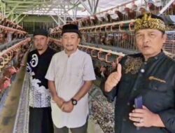 Dadang M. Naser Dukung Kemandirian Ekonomi Peternak Lewat Bantuan 12.000 Ekor Ayam Petelur
