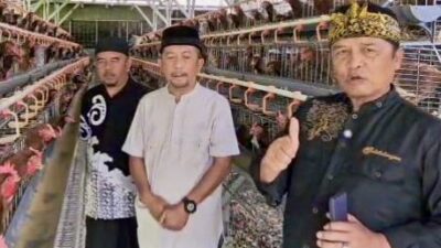 Dadang M. Naser Dukung Kemandirian Ekonomi Peternak Lewat Bantuan 12.000 Ekor Ayam Petelur