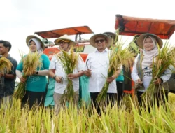 Firman Soebagyo Pastikan Program 10 Ton per Hektare Berhasil di Kabupaten Pati