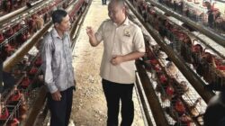 Eko Wahyudi Wanti-wanti Ancaman Kekeringan, Harga Pangan Bisa Melonjak