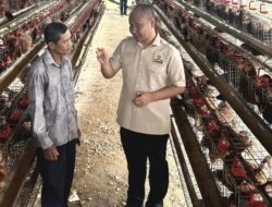 Eko Wahyudi Wanti-wanti Ancaman Kekeringan, Harga Pangan Bisa Melonjak