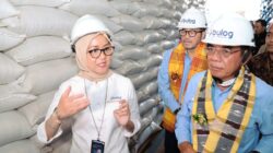 Stok Beras RI Tertinggi Sepanjang Sejarah! Panggah Susanto Soroti Harga Masih Mahal
