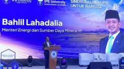 Menteri ESDM Bahlil Lahadalia: Batu Bara Masih Jadi Andalan Demi Stabilitas Energi dan Tarif Listrik