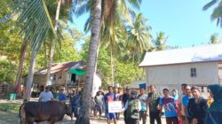 Atas Arahan Bahlil Lahadalia, Balitbang DPP Partai Golkar Hadirkan Kurban hingga Pulau Longos NTT