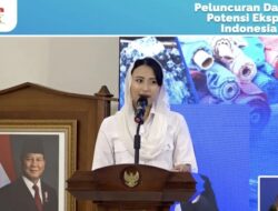 Ekspor Indonesia Melejit! Wamendag Dyah Roro Ungkap Produk RI Laris di China hingga Tembus Rp1,4 Triliun