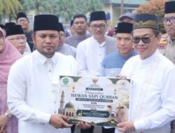 Gubernur Kaltim Rudy Mas’ud Serahkan Sapi Kurban Bantuan Prabowo, Bobotnya Tembus 1 Ton Lebih