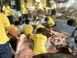 DPD Partai Golkar DKI Distribusikan 57 Sapi dan 60 Kambing untuk Warga Jakarta