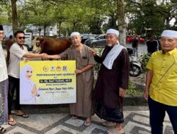 Sari Yuliati Salurkan Sapi Kurban Jumbo 1 Ton untuk Warga Lombok
