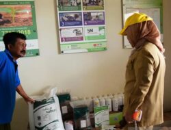 Wagub Idah Syahidah Tinjau Lokasi Penas XVII, Pertanian Organik hingga Bioflok Nila Jadi Andalan Gorontalo