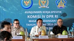 Panggah Susanto Soroti Minimnya Anggaran KKP untuk Konservasi Terumbu Karang